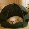 چه مدل جای خوابی برای سگ من مناسبه؟