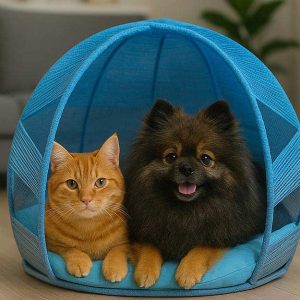 نکات مهم انتخاب جای خواب سگ و گربه