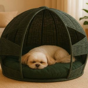 چه مدل جای خوابی برای سگ من مناسبه؟