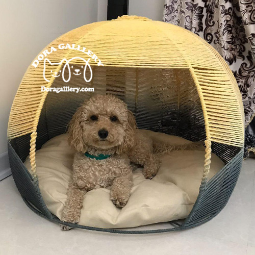 جای خواب سگ جای خواب گربه