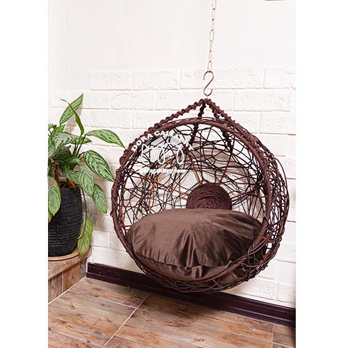 تاب سگ و گربه