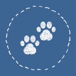 مدل خونه ها