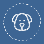 خرید اقساطی