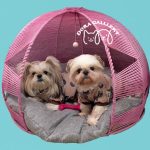 مدل خونه ها