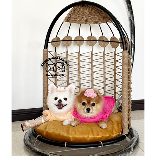 تاب گربه تاب سگ تاب پت