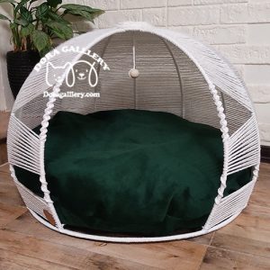 جای خواب گربه جای خواب سگ