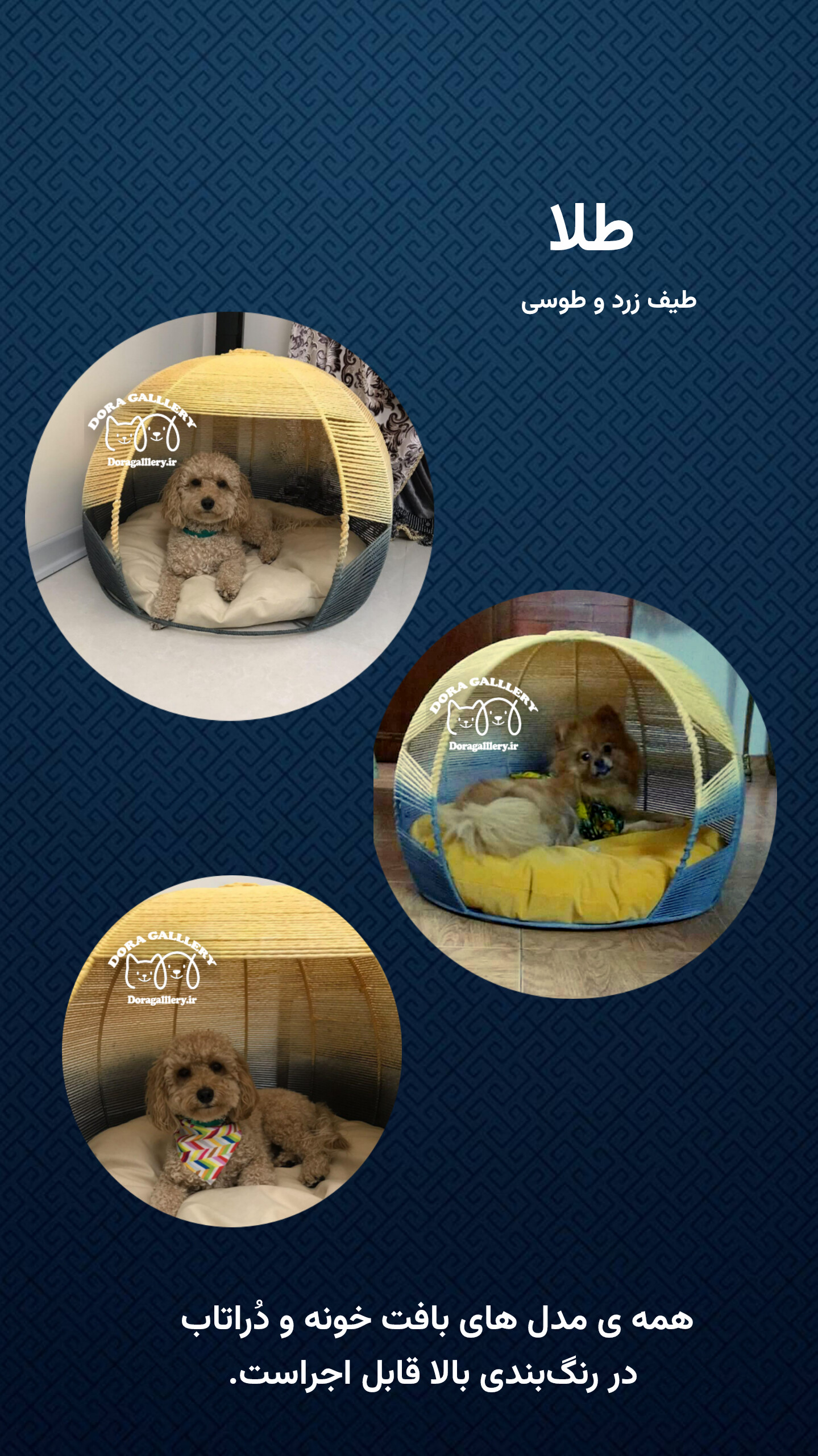 رنگبندی خونه ها