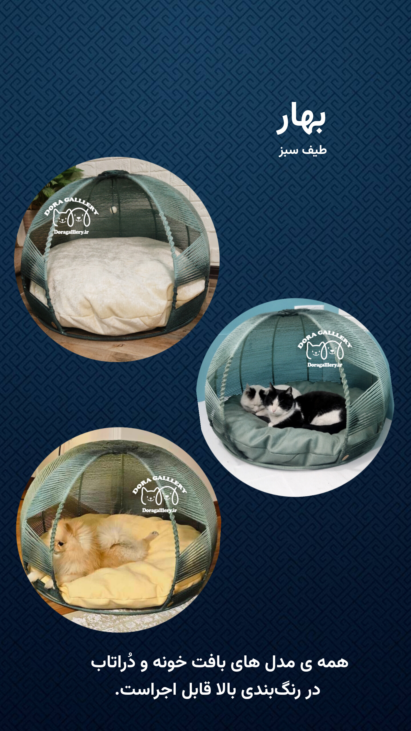 رنگبندی خونه ها