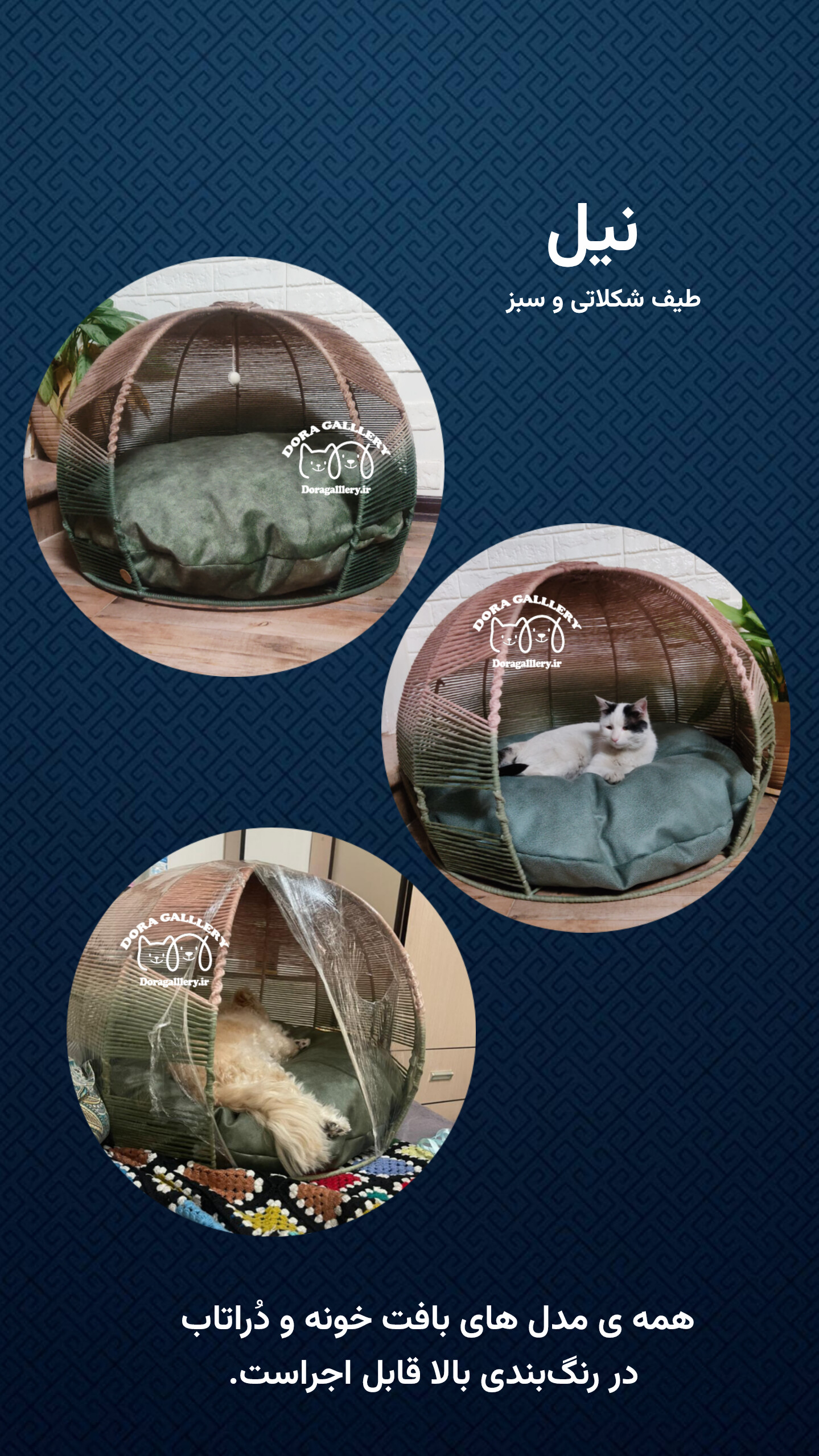 رنگبندی خونه ها