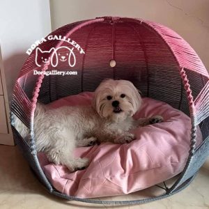 جایخواب سگ جایخواب گربه خونه سگ خونه گربه جای خواب سگ جای خواب گربه